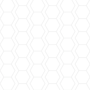 gray hexagon