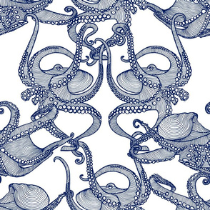 Cephalopod -  Octopi Smaller - Navy _ White