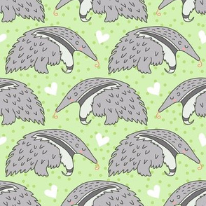 Giant anteater - green