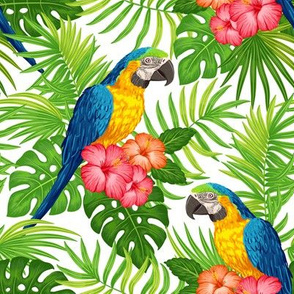 Tropical with parrots - green blue on white