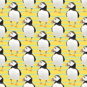 Puffin - yellow - Small