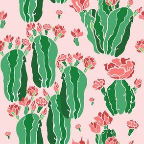 Blooming cactus 