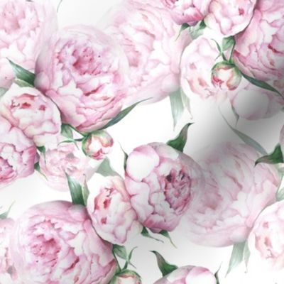 Pink Peonies