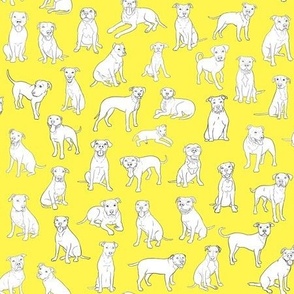 Pittbull Party - small scale on yellow by BigBlackDogStudio