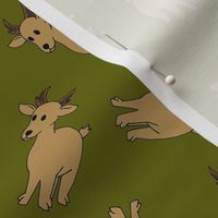 Covey Logic Antelope - Olive