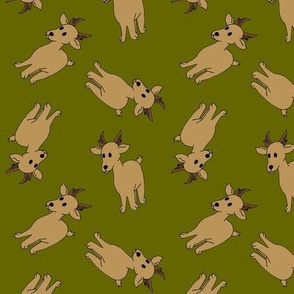 Covey Logic Antelope - Olive