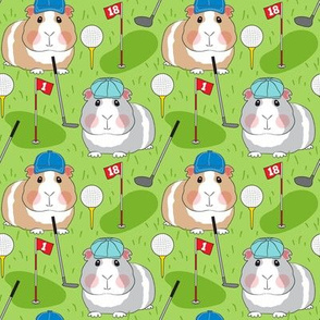 medium golfing guinea pigs