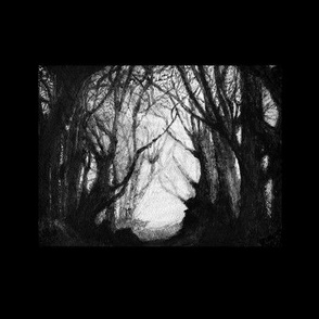 Dark Hedges_ Ireland