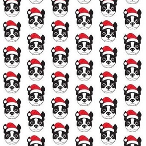 tiny boston terrier faces with santa hats