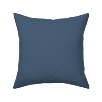 Prussian Blue-Grey Solid