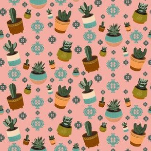 Mid Century Modern Potted Succulents and Cacti in Bright Pink