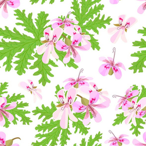 rose geranium  pattern