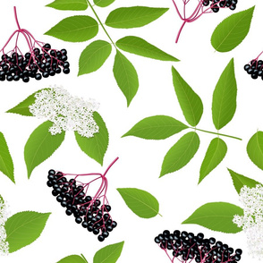 elderberry berries and flowers seamless pattern