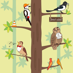 forest birds school