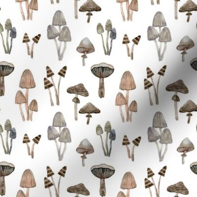 brown mushrooms