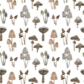 brown mushrooms