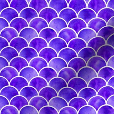 violet scales with white lines