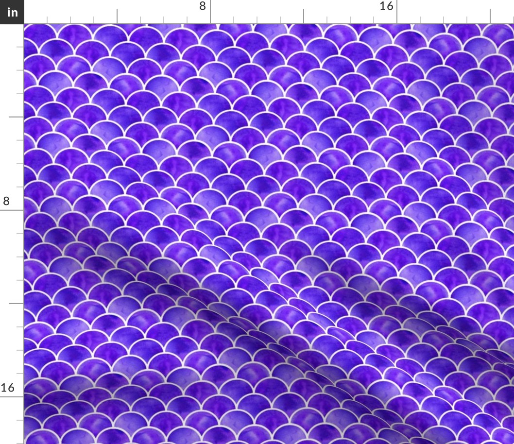 violet scales with white lines