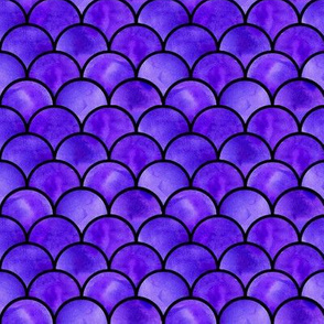 deep violet scales