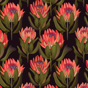 Protea watercolor boho flower