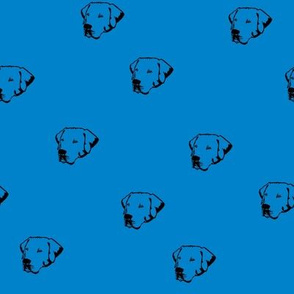 Labrador Dog Faces with Blue Background