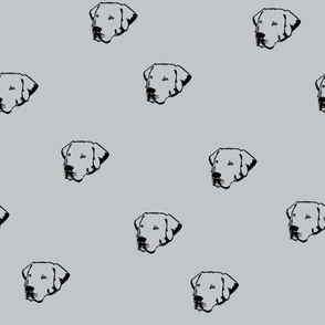 Labrador Dog Faces with GreyBackground