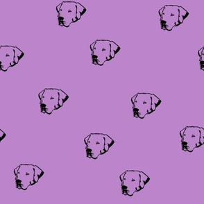 Labrador Dog Faces with Purple Background