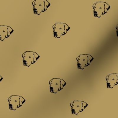 Labrador Dog Faces with Gold Background