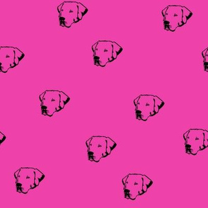 Labrador Dog Faces with Neon Pink Background