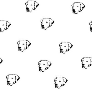 Labrador Dog Faces with White Background
