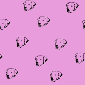 Labrador Dog Faces with Pink Background