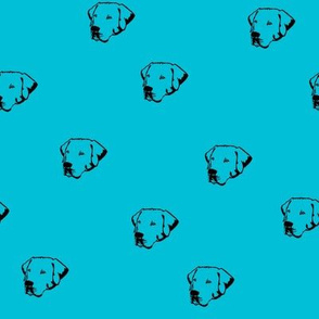 Labrador Dog Faces with Aqua Blue Background