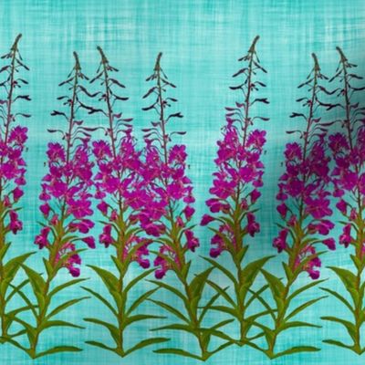 fireweed border