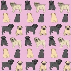 Pugs Puppies on Pink - repeat pattern of 1" Pugs