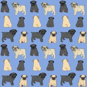 Pugs Puppies on Blue - repeat pattern of 1" Pugs