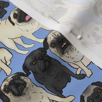 Pug Week Grumble -smaller scale- by BigBlackDogStudio