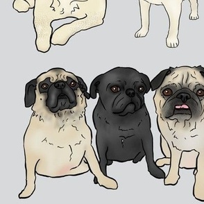 6" Pugs - FULL YARD SCALE-NOT Fat Qtr size by BigBlackDogStudio