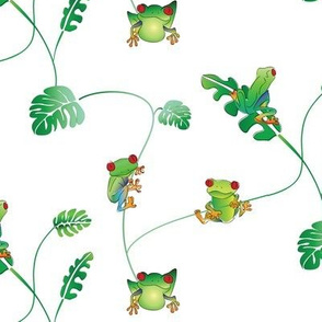 Tree frogs