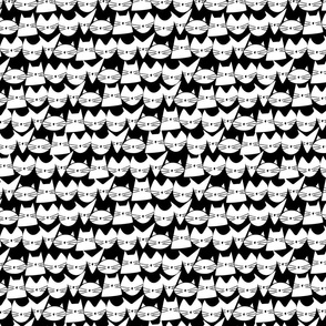 small scale cats - jelly cats white and black - hand-drawn cats