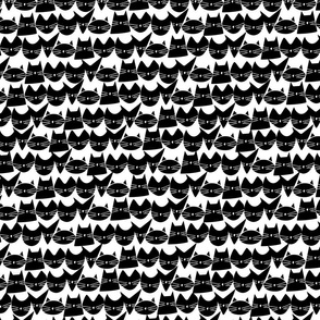 small scale cats - jelly cats black and white - hand-drawn cats