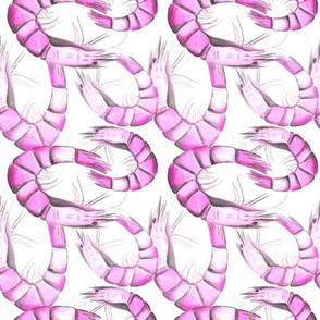 Pink watercolor shrimps. Seafood illustration.