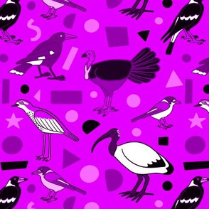 Monochrome Birds of Brisbane, purple