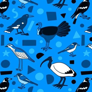 Monochrome Birds of Brisbane, blue