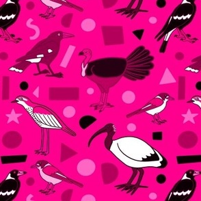 Monochrome Birds of Brisbane, pink