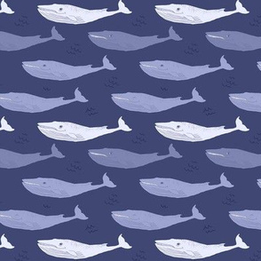 Bleu whales