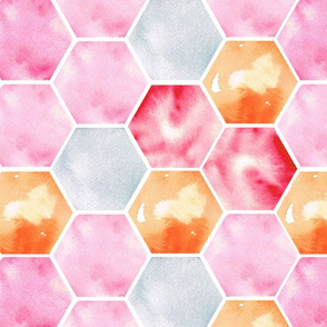 Texas Modern Honeycomb Pink