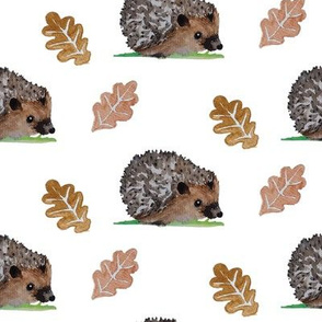 Woodland Hedgehog