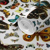 Large Butterfly Collage