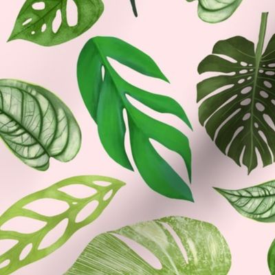 Monstera Foliage - Small