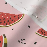 Watermelon slices and seeds on pink